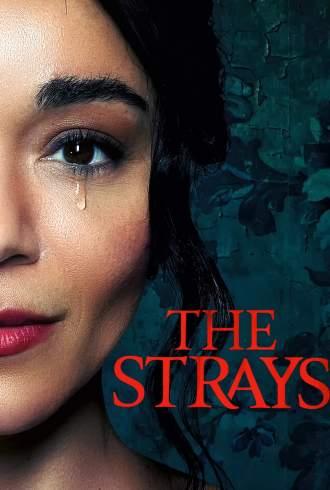 The Strays