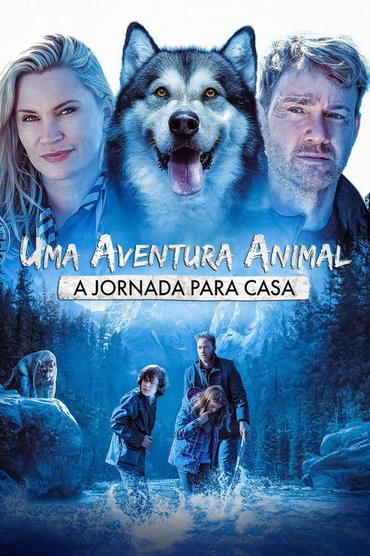 Uma Aventura Animal: A Jornada para Casa