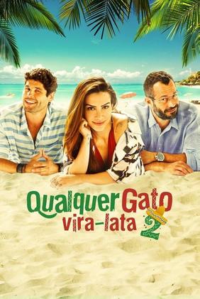 Qualquer Gato Vira-Lata 2