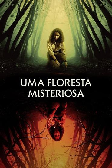 Uma Floresta Misteriosa